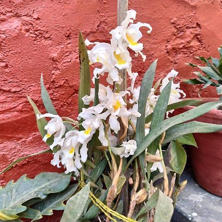Bhattidanda Fresh & Natural Homestay Dhulikhel Εξωτερικό φωτογραφία