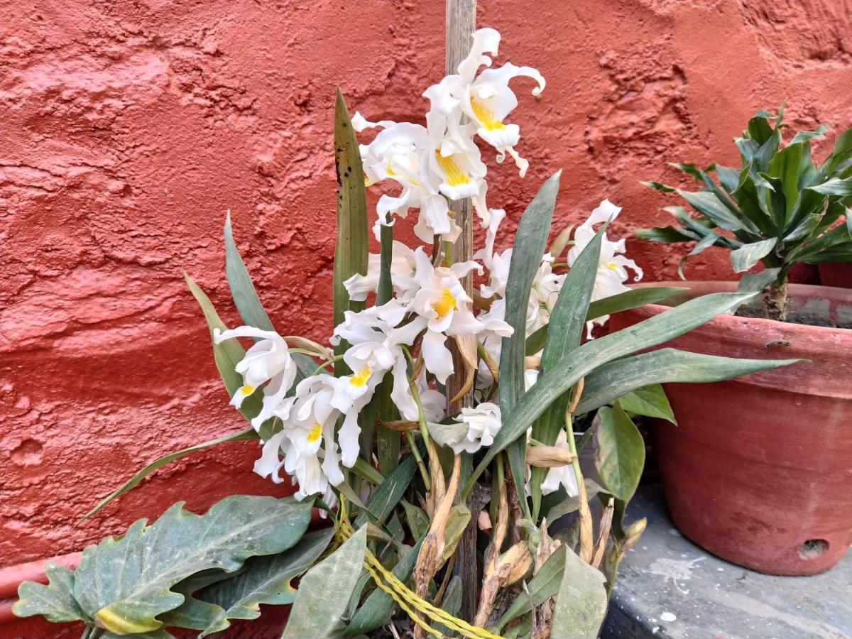 Bhattidanda Fresh & Natural Homestay Dhulikhel Εξωτερικό φωτογραφία