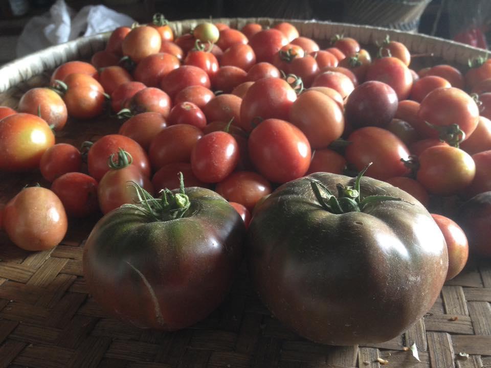 Bhattidanda Fresh & Natural Homestay Dhulikhel Εξωτερικό φωτογραφία
