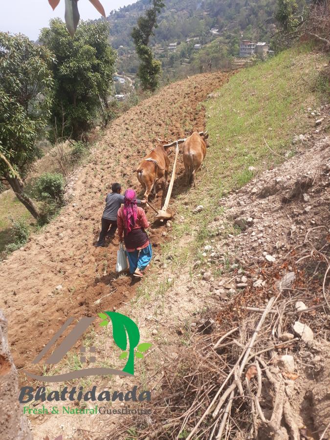 Bhattidanda Fresh & Natural Homestay Dhulikhel Εξωτερικό φωτογραφία