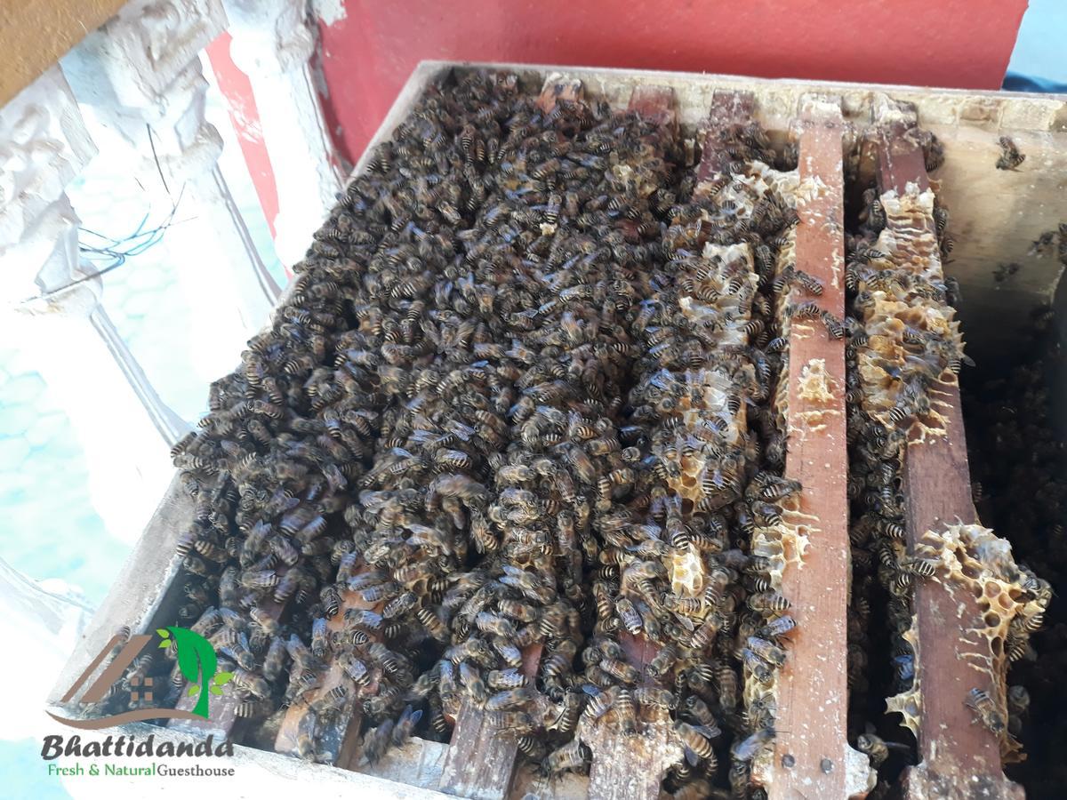 Bhattidanda Fresh & Natural Homestay Dhulikhel Εξωτερικό φωτογραφία